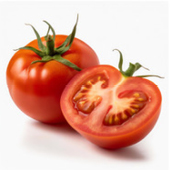 Ganze rote Tomate und eine halbierte Tomate auf weißem Hintergrund.