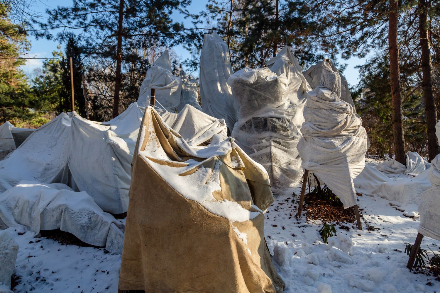 Winterschutz für Planzen