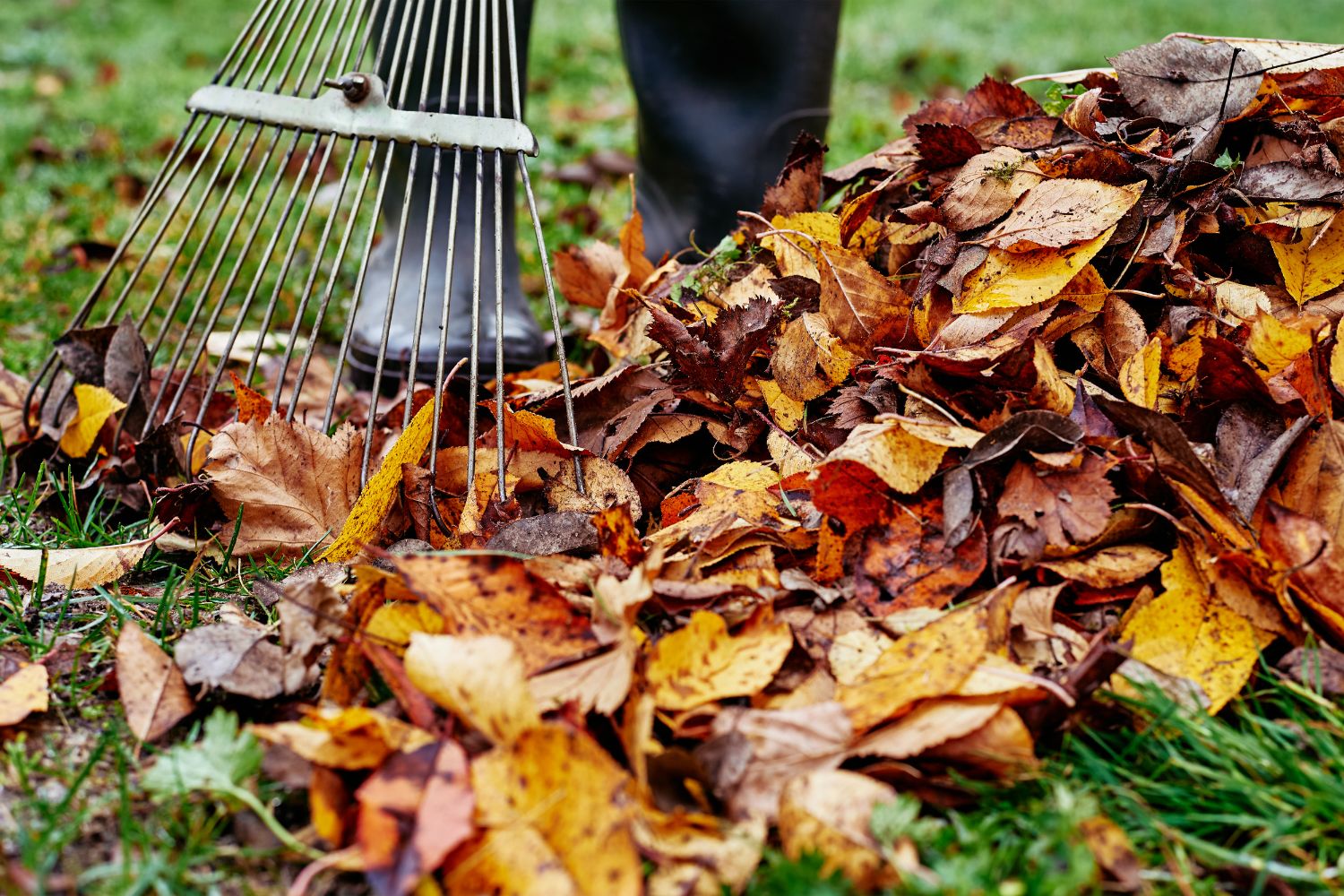 Gartenarbeit im Herbst