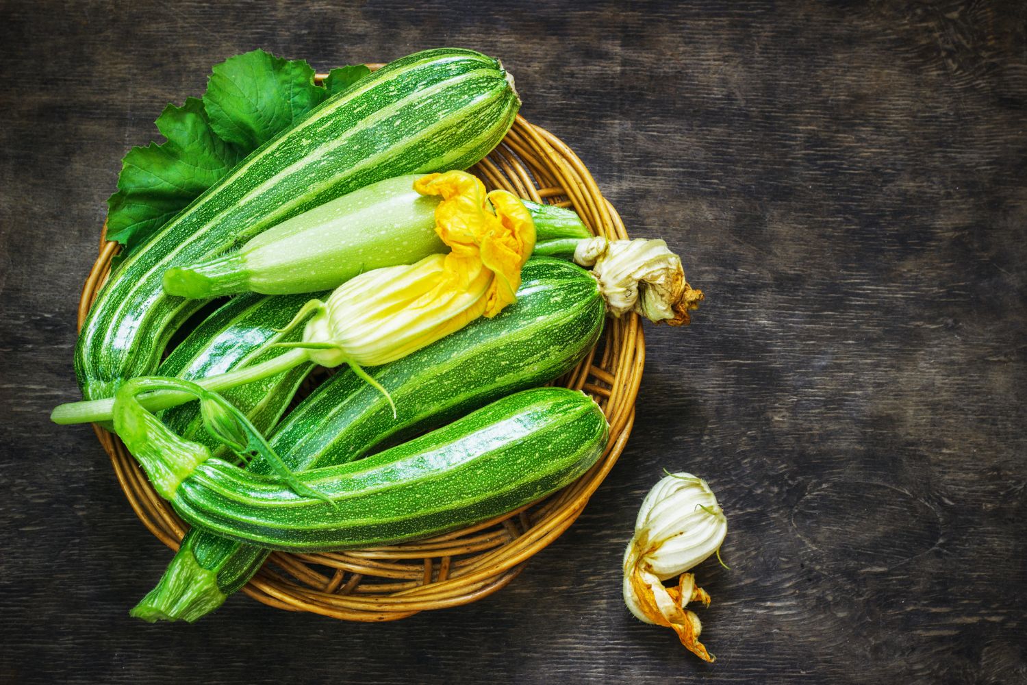Zucchini-01