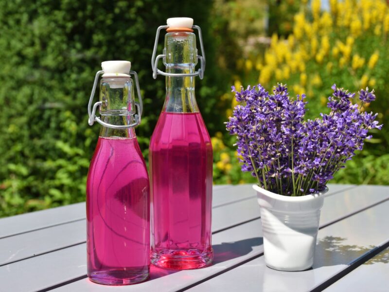 Zwei Flaschen mit pinker Flüssigkeit und ein Topf Lavendel auf grauem Tisch, im Hintergrund grüne und gelbe Pflanzen.