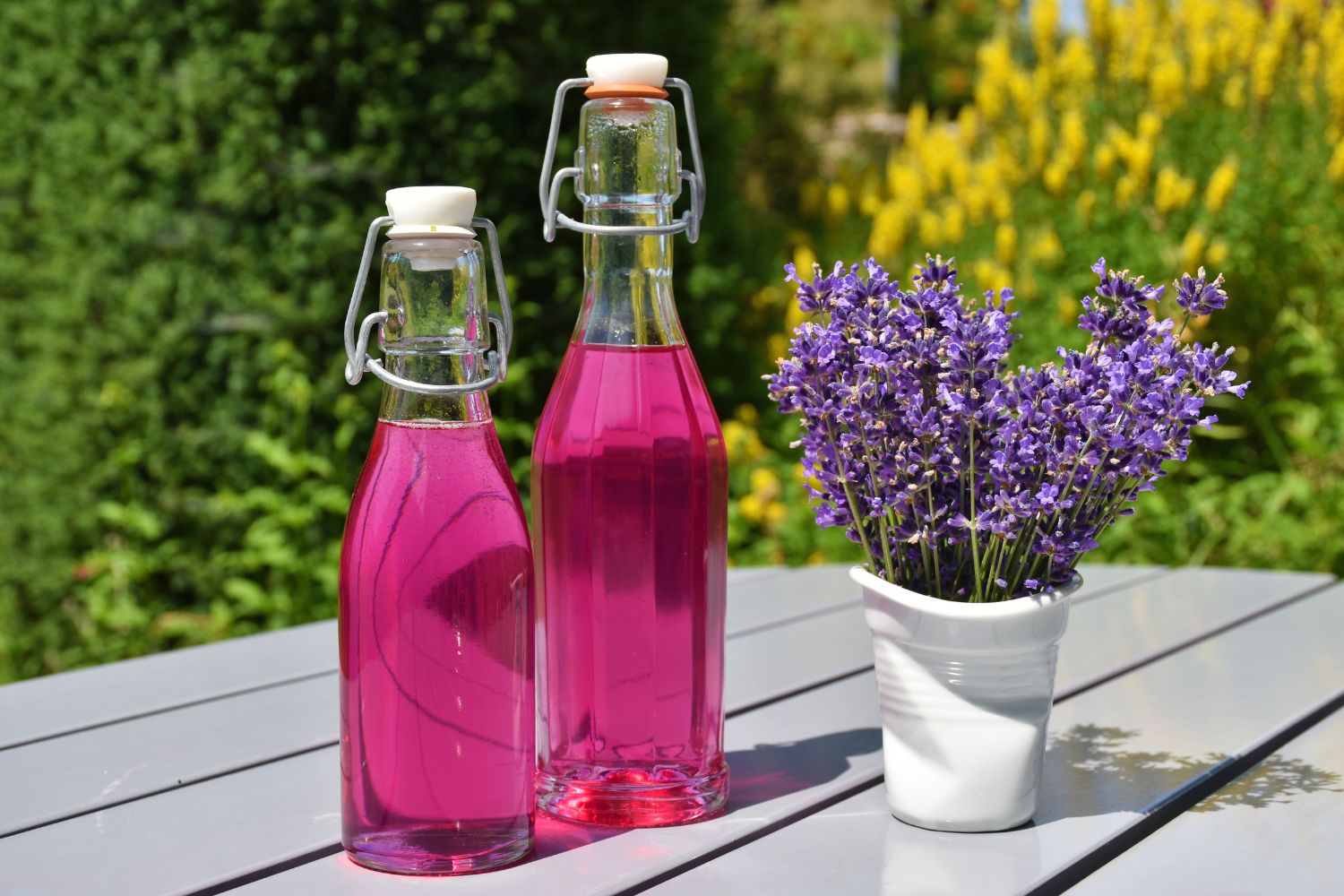 Zwei Flaschen mit pinker Flüssigkeit und ein Topf Lavendel auf grauem Tisch, im Hintergrund grüne und gelbe Pflanzen.