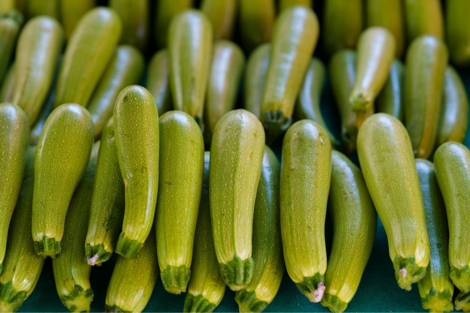 Zucchini Grüne Zucchini liegen dicht an dicht auf einem Marktstand.